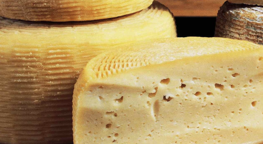 Why Your Business Needs Cheese-Cutting Equipment